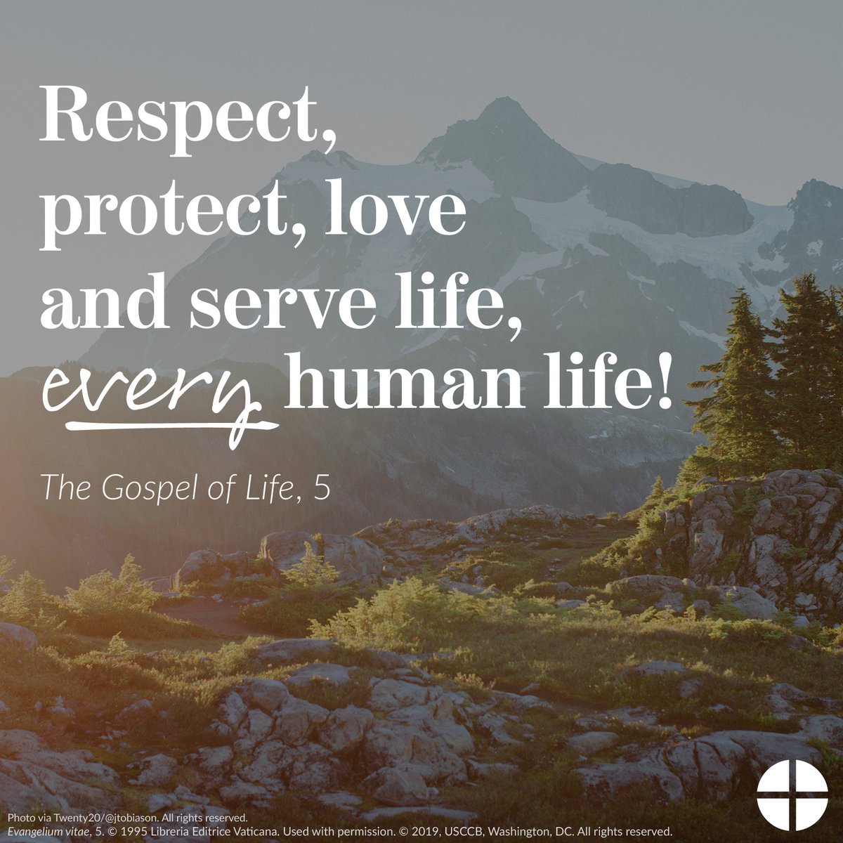 Celebrating the Gospel of Life week from January 22nd through January 26th.