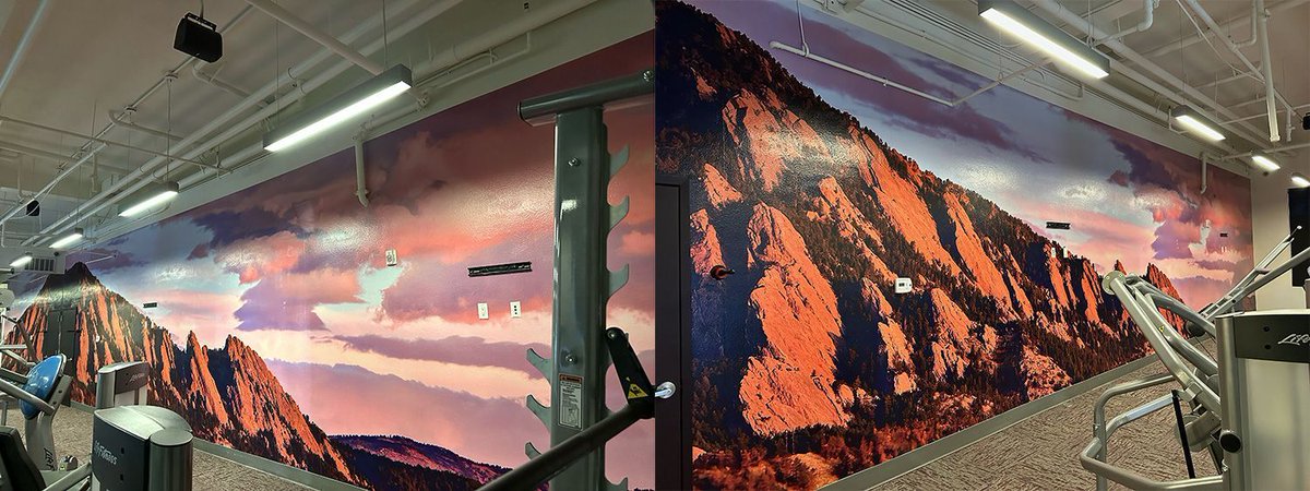 SBTSantaClarita's tweet image. Here is some sweat-worthy inspiration for your fitness areas. Rev up your space with eye-catching wall murals!
signsbytomorrow.com/santaclarita/g…
#wallmurals #indoorgraphics #Signsbytomorrow