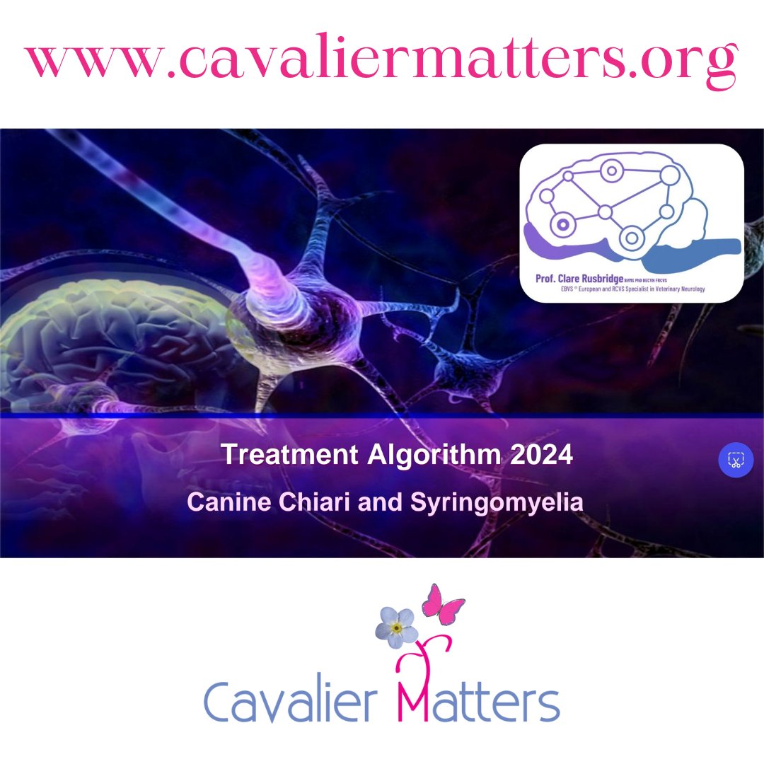 Prof Clare Rusbridge's new, updated treatment algorithm is now available on our website cavaliermatters.org/professor-clar…

Explanatory video available here youtu.be/xW7FJl2rFEE?si… 

#ckcs #cavaliercommunity #geneticdisease #neurologicalcondition