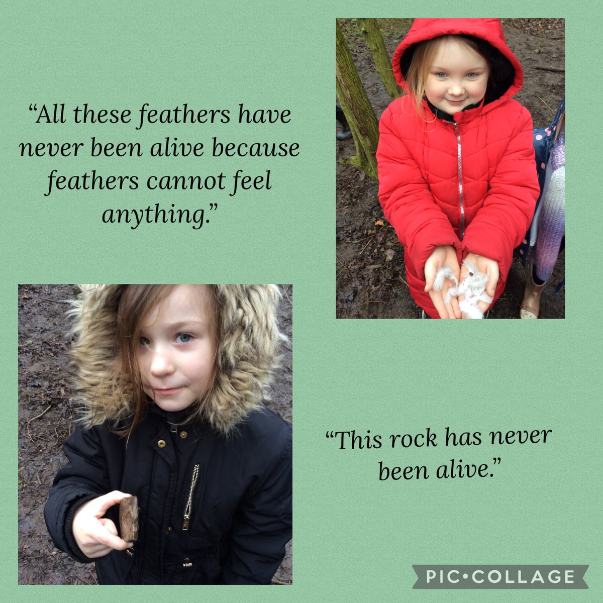 BandBschool's tweet photo. @BandBschool Team Ouse investigated woodland items to find out what was alive, what used to be alive and what has never been alive in forest schools. @eboractrust #bandbforestschool #bandbscience @teach_outdoors @DrBiol https://t.co/9gxALHHEr2