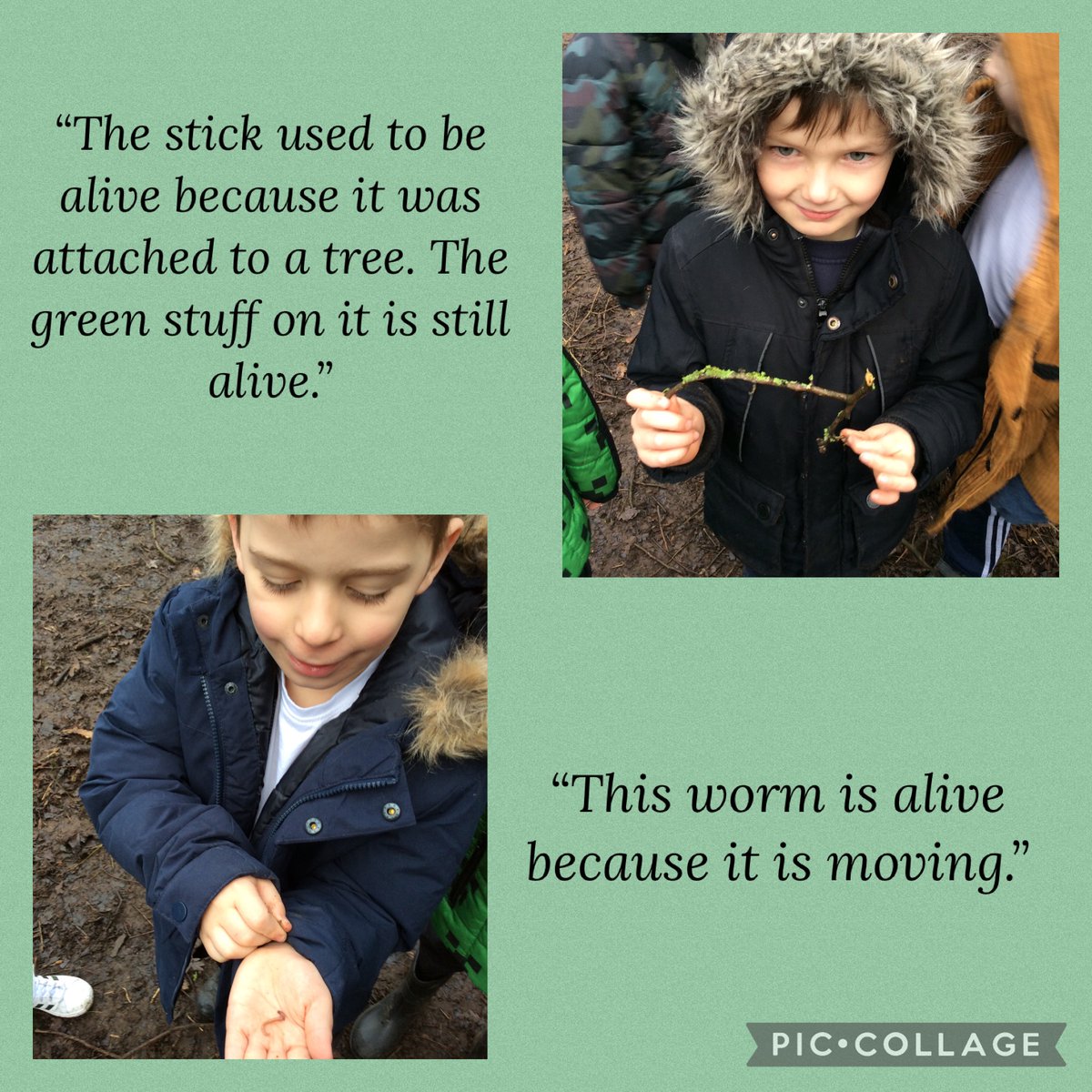 BandBschool's tweet photo. @BandBschool Team Ouse investigated woodland items to find out what was alive, what used to be alive and what has never been alive in forest schools. @eboractrust #bandbforestschool #bandbscience @teach_outdoors @DrBiol https://t.co/9gxALHHEr2
