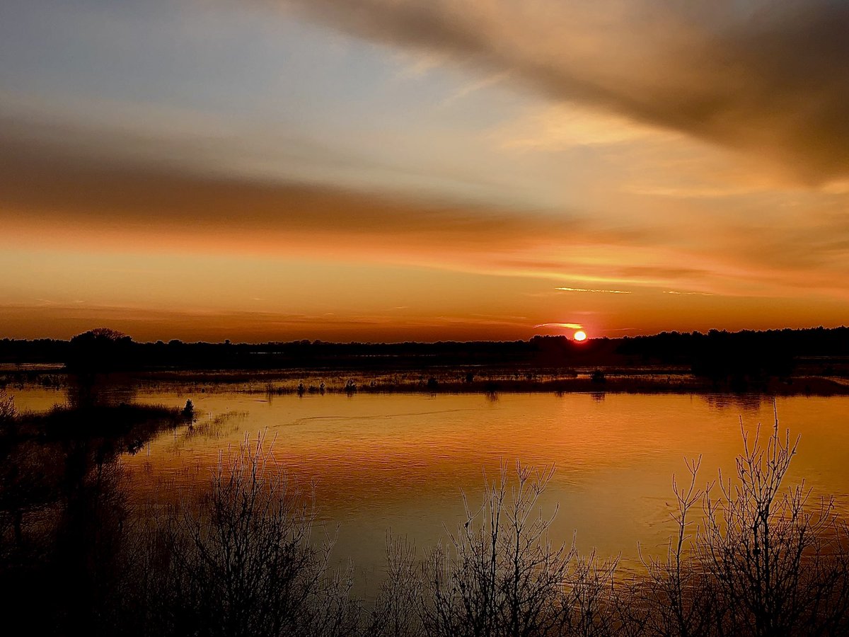 #landschotseheide
@Brab_Landschap