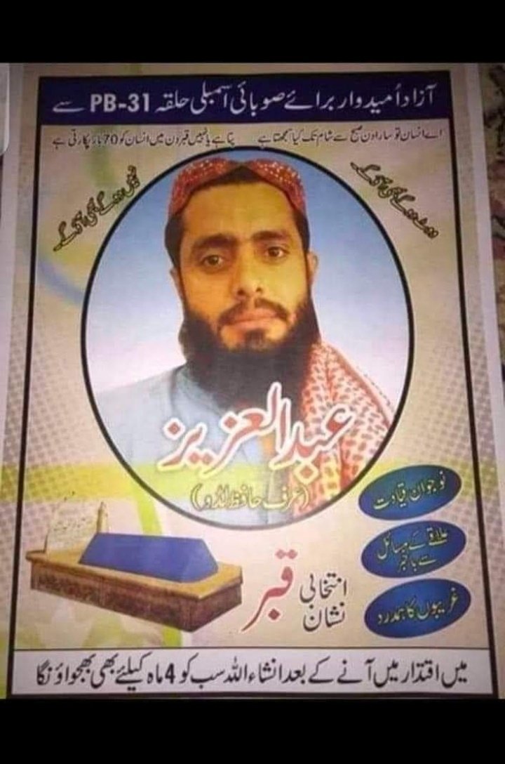 Angry bird (BOT) tweet media