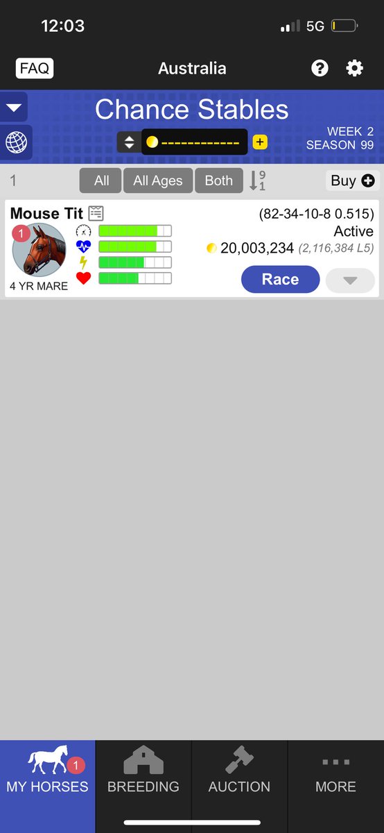ChanceStables's tweet photo. @AndPacing looking for offers pm me. Thanks https://t.co/MMeK0zh1SZ