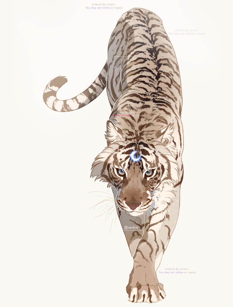 xiintoii's tweet photo. white tiger✨ https://t.co/JhmnpV979g