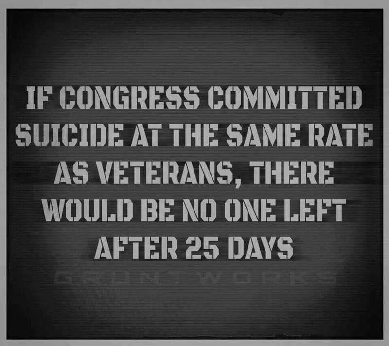 Even faster actually, these stats are depressing:'6,500 former #militarypersonnel killed themselves in 2012. More #veterans succumbed to #suicide than killed in Iraq. In 2012, 177 active-duty soldiers committed suicide, conversely 176 soldiers were killed in combat. wikipedia