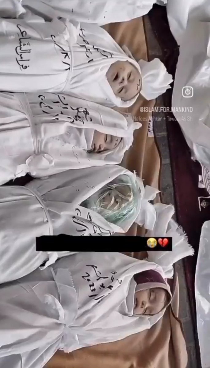 NisaTehmina's tweet photo. They are not just a few old months or years souls neither are just the numbers. They were the hopes. They were the dreams to be fulfilled. @GovtofPakistan It's your mandatory duty to give them justice .
#YouthDemands_ICJ4Gaza https://t.co/NTZHZHEYKQ