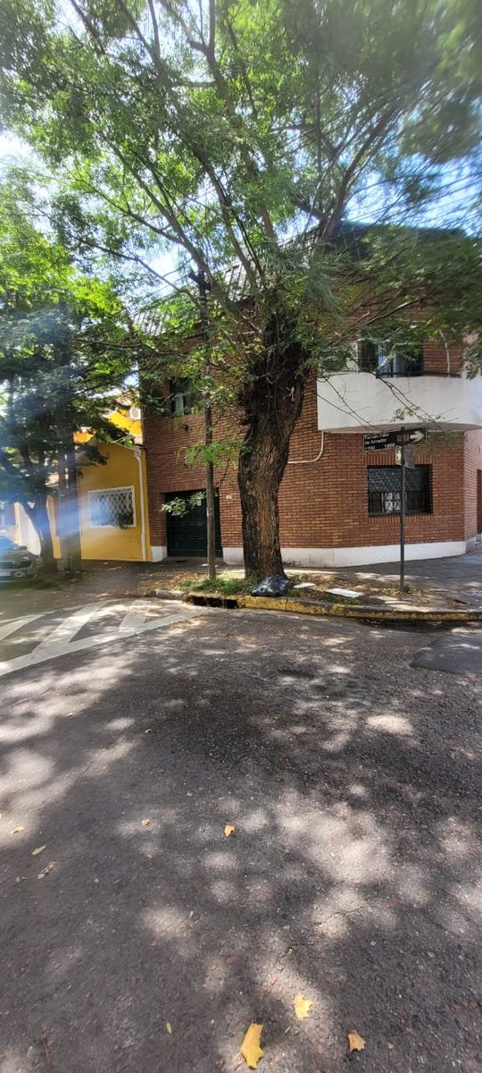 Higiene Urbana MVL tweet media