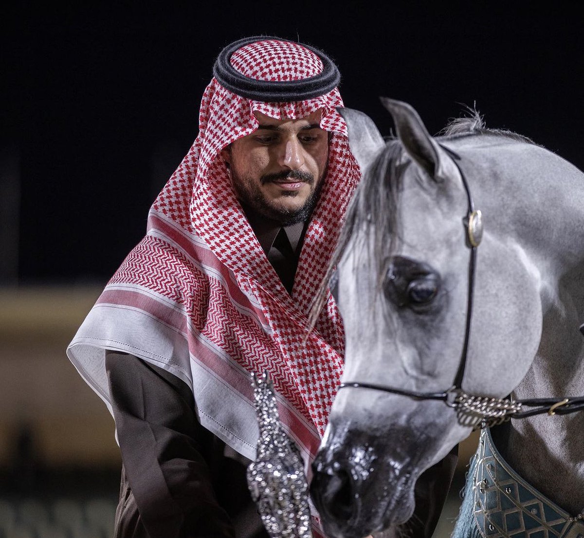مربط سما نجد Sama najd stud tweet media