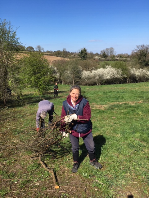 ExploreSurreyUK's tweet photo. What's great for health, happiness &amp; habitat?

Joining in for #countryside #volunteering with the friendly Downlands Partnership #conservation crew!

Enjoyable scrub clearing sessions on offer this season across northeast Surrey &amp; Addington areas.

Info: https://t.co/YpoeTmSJH5 https://t.co/dzt8PrtQmd