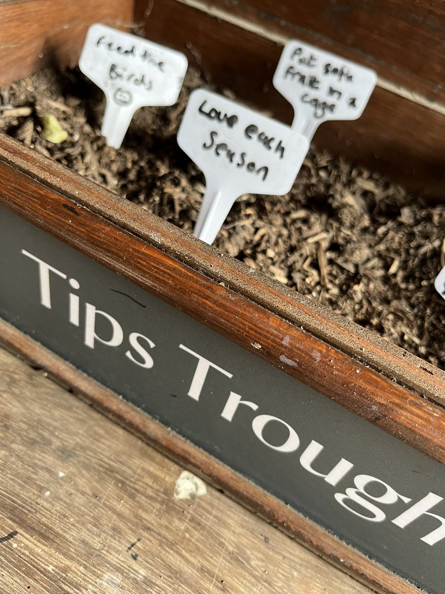 “Love each season”. Wise words in the tips trough with sunshine and snowdrops today @nationaltrust Kingston Lacy