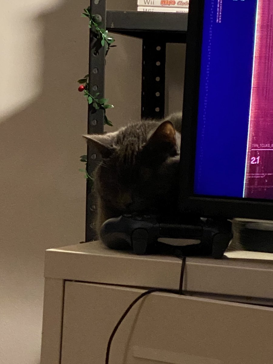 tinybiscuit_cat's tweet photo. heated blanket? ew no thanks I prefer the cabinet heated by near constant ps5 usage https://t.co/bxby4YtcgE