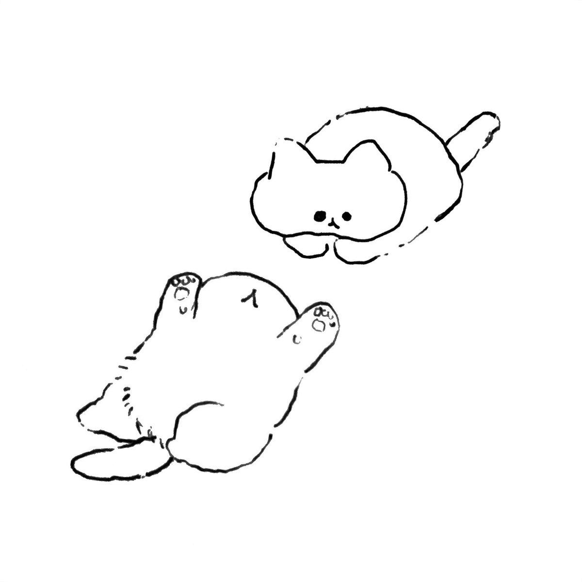 ねこ 
