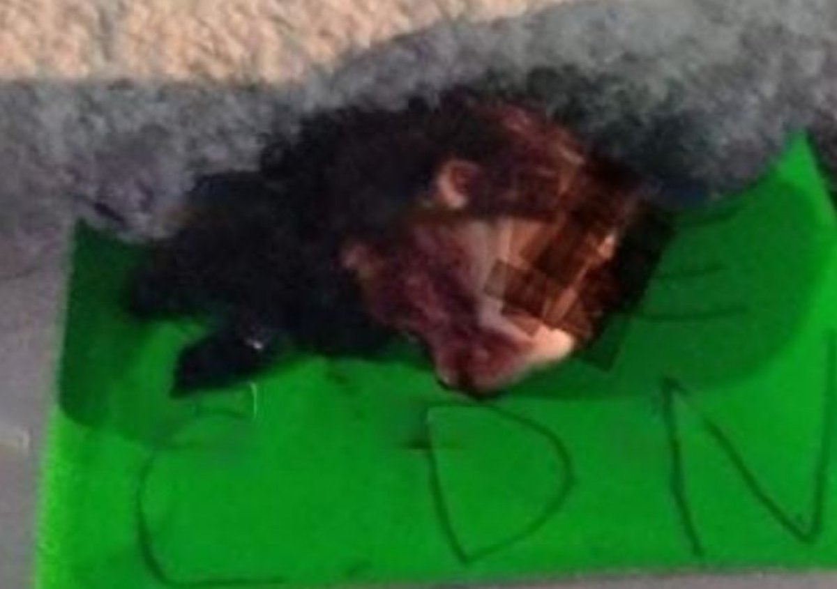 Halcon1072 tweet media