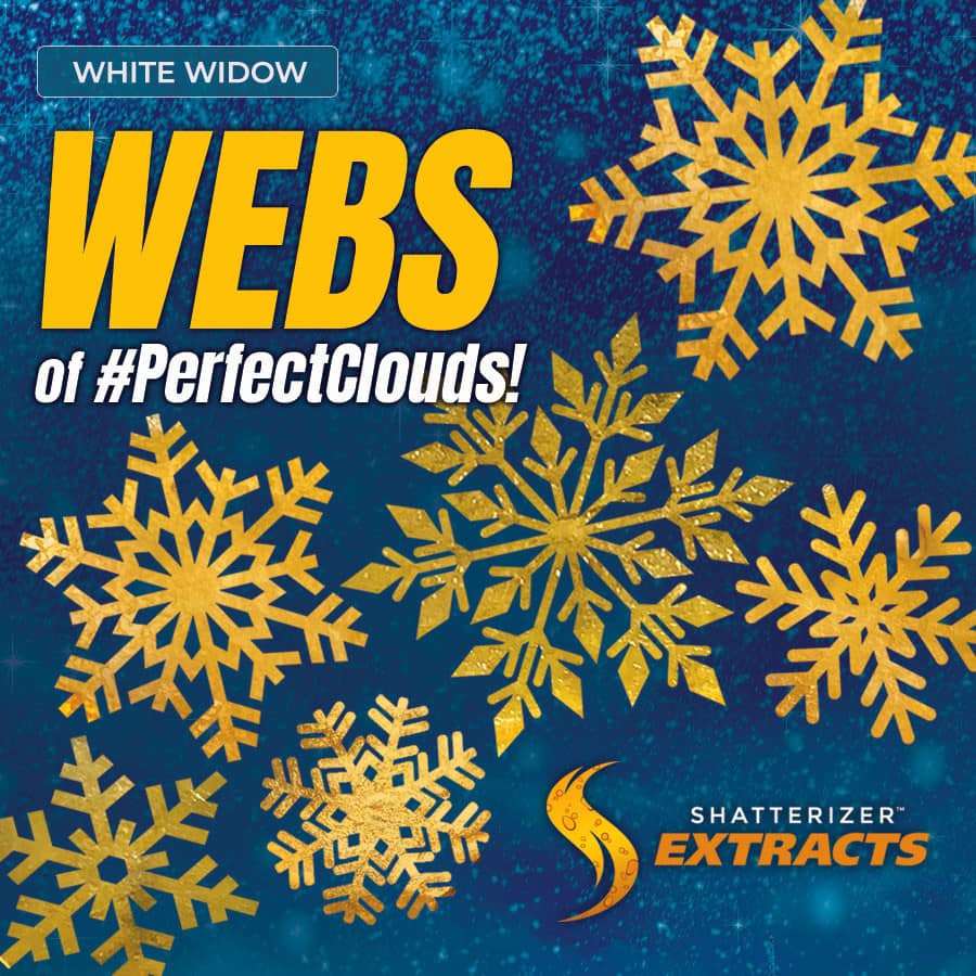 Shatterizer's tweet photo. Look for Webs of #PerfectClouds all Winter with our White Widow #Shatterizer Family… https://t.co/QPBZzN80eS https://t.co/amVw3FHerO