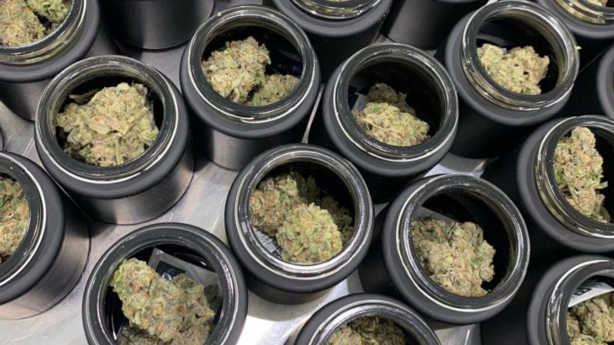 Despite monthly fluctuations, the Canadian cannabis market is on a steady upward trajectory, showcasing remarkable year-over-year growth. As of October 2023, the flourishing industry achieved over $448 million in sales.

buff.ly/3TUc1JO