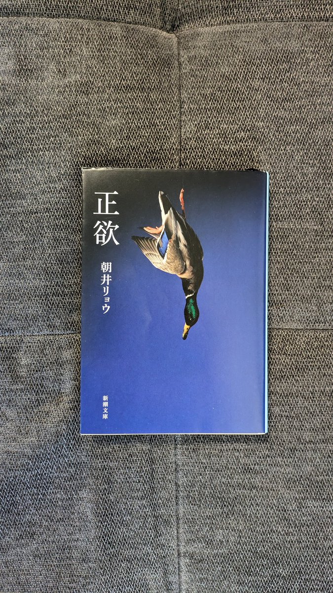 shomahoshi's tweet photo. 朝井リョウさんの『正欲』。ずっと昔から自分自身が感じている「死にたいわけではないけど、生きたいわけでもない」という感情との向き合い方を教えてくれている気がする。 https://t.co/sXFWdesdQH