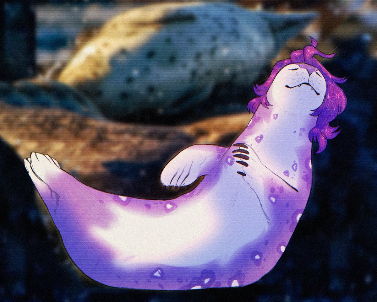 the sun shines just right sometimes