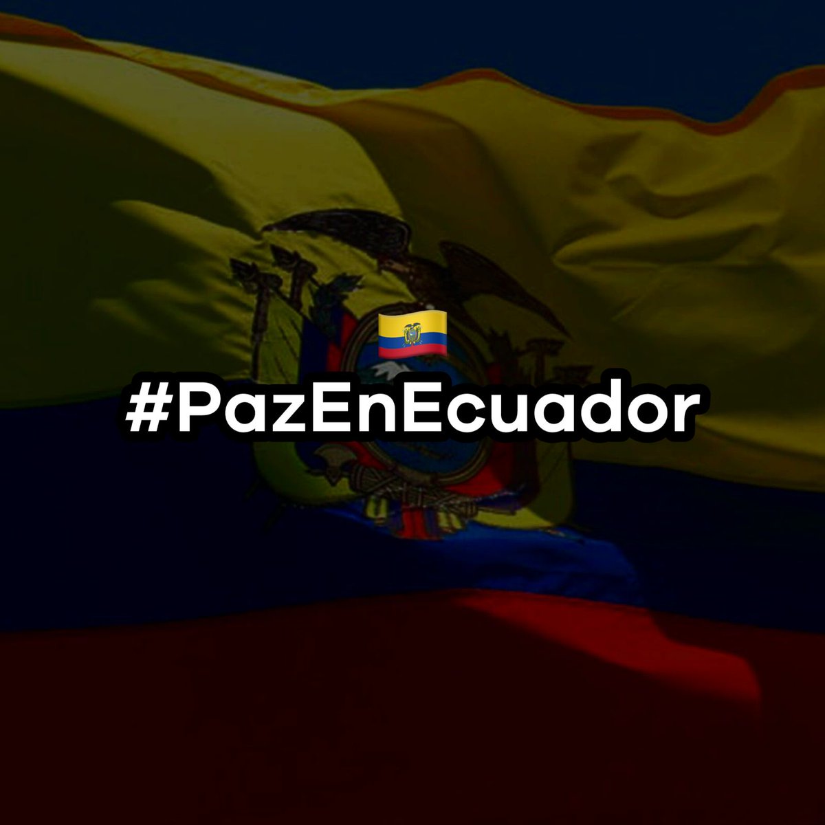 Alfa Radio Ecuador tweet media