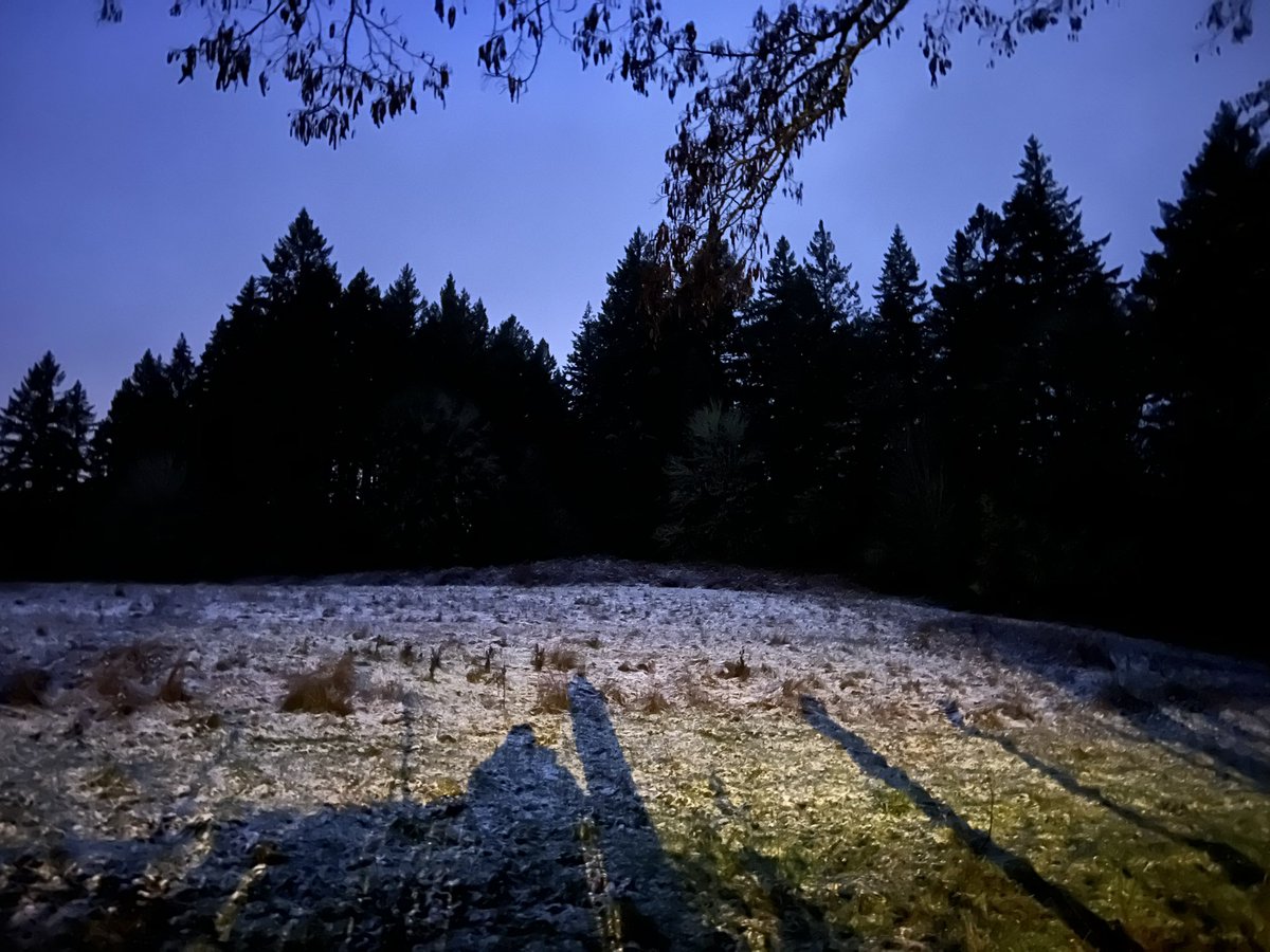 First snow of the year here West Side #Portland 2024