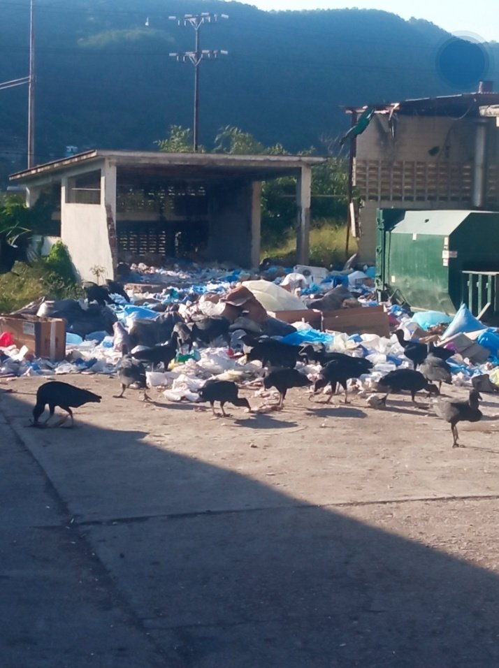 ReporteYa's tweet photo. #10Ene #Anzoátegui #SinAseo #DenunciaCiudadana
@JeanCar12150813: "Desperdicios del Hospital Razetti de # Barcelona"
https://t.co/w1nLqg2HN8