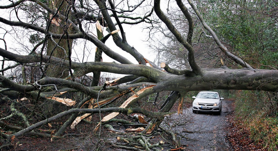 JM Barstool tweet media