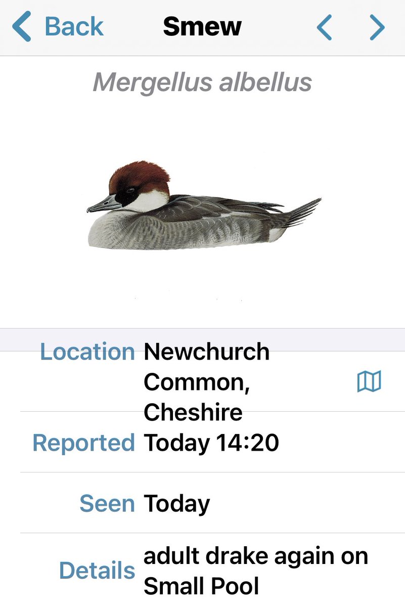 C & W BIRD NEWS (@cheshirebirding) on Twitter photo 
