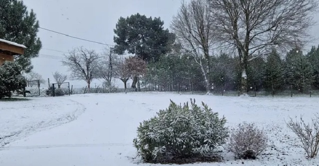 e_niort's tweet photo. #NouvelleAquitaine. Depuis ce mercredi matin, des flocons de neige viennent décorer les toits de plusieurs communes de Charente et de Charente-Maritime. Les premiers flocons de neige arrivent en Charente-Maritime et en Charente.
→ https://t.co/sbn9skEKg0 https://t.co/tOSBdFnxVb