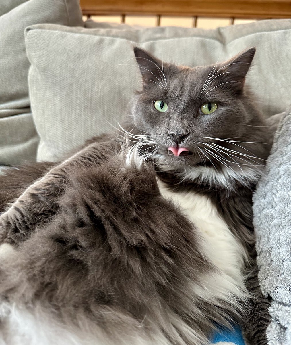 PamelasEngel tweet media