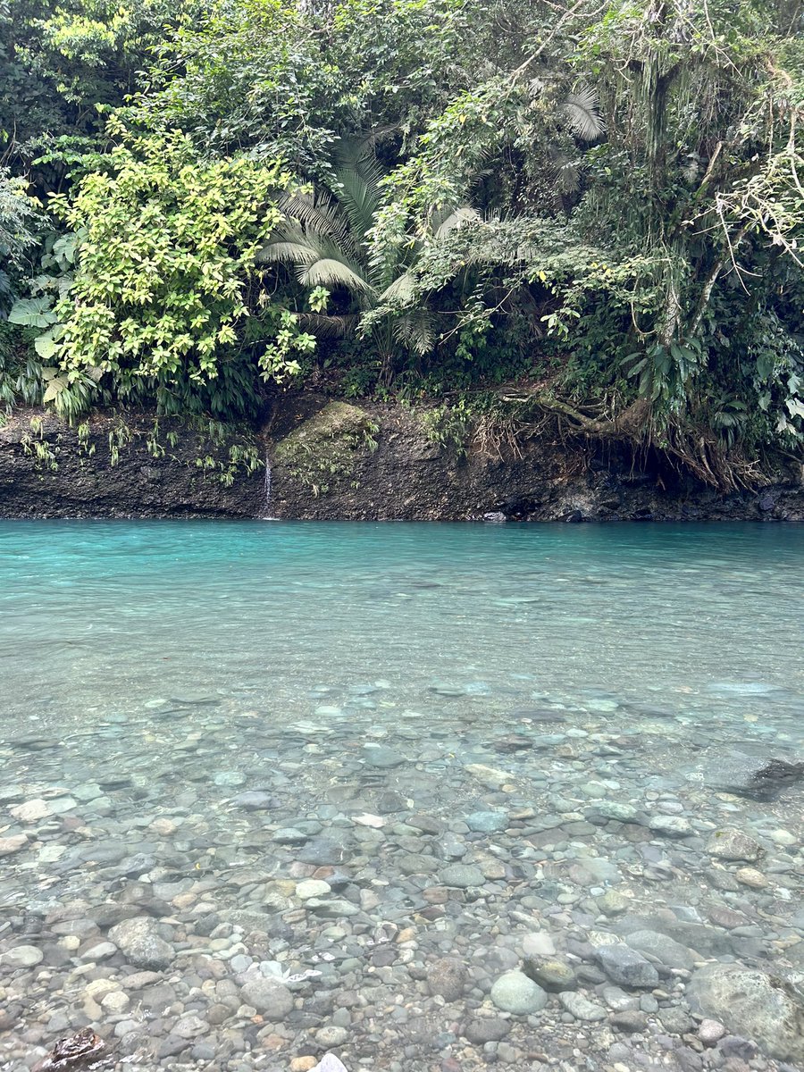 Tatibalvin's tweet photo. 2024 con salud para mi y todos. 

Urabá para crear, para admirar, transformar, apreciar, contemplar y disfrutar. 🕊️🏖️ Urabá que me pone a cantar: 🎶 yo componía alegre, pero ahora romántico🎼🎼🍃

#EnPresente #Antioquia #Urabá #mindfulness #AntioquiaEsMágica https://t.co/R9CHEnw3y8