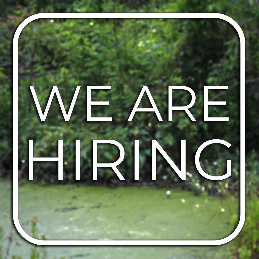 OrianneSociety's tweet photo. Join our team as an Associate Conservation Scientist!
Seeking a passionate individual to work on research projects in the southeastern U.S. Your expertise will be pivotal in designing and executing projects for Spotted and Eastern Box Turtle conservation. 
https://t.co/B2mJ7QpIrq https://t.co/cBLuDrFHAE