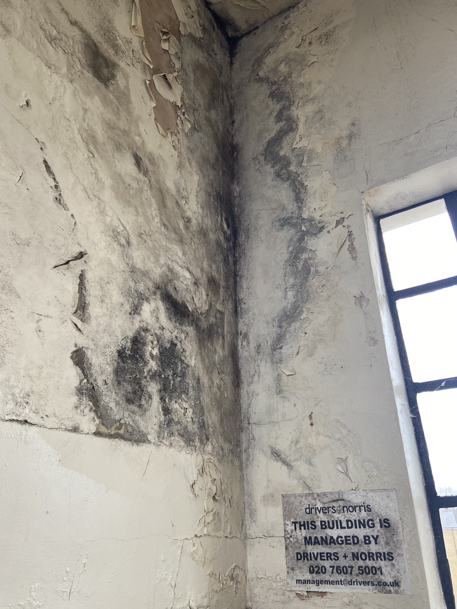 CathBoggan's tweet photo. The property I live in has been without hot water or heating for the entire winter. It is managed by @KirillToursinDN @drivers_norris and owned by Grandpex. Vulnerable residents are freezing and being ignored. https://t.co/1TsJpcd3nl