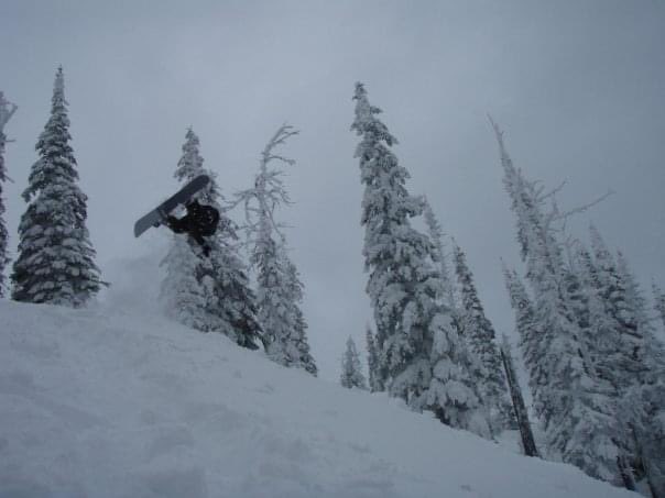 Kendal Harazny tweet media