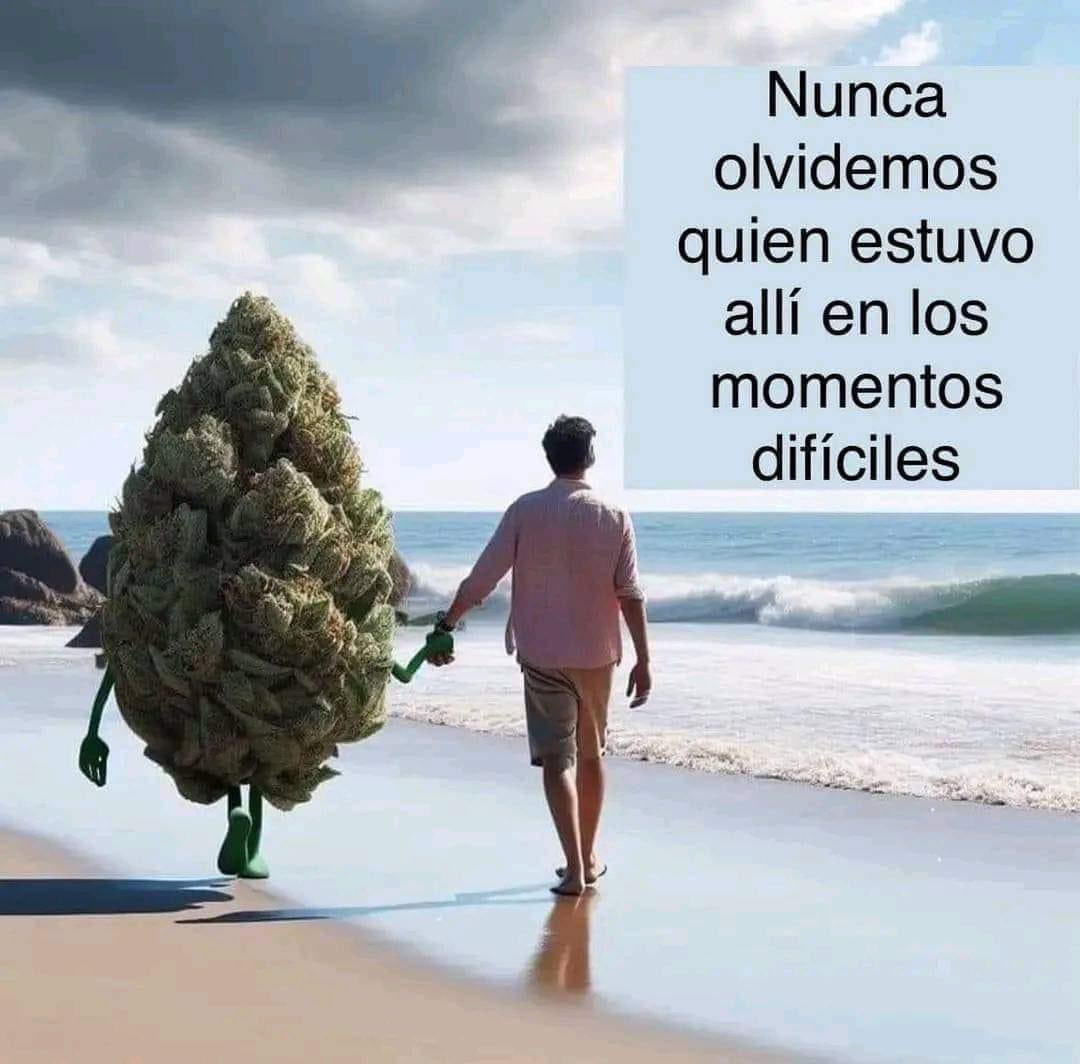 El Paragua Venenoso (@elparaguayo1231) on Twitter photo 