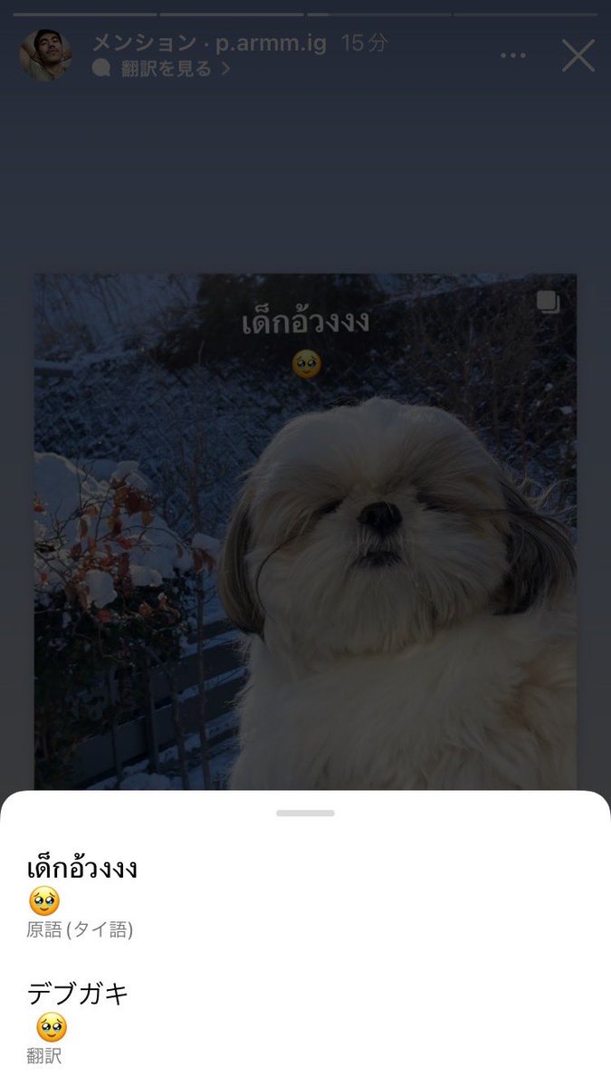 jikkainu's tweet photo. 知らんタイ人にデブガキと書かれた実家のいぬ https://t.co/JRfm4IhcyD