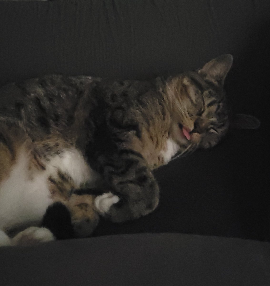 lostlunaxo's tweet photo. @CannibalDuckie Always - ft. A nap w me https://t.co/UdRYXdn0sc
