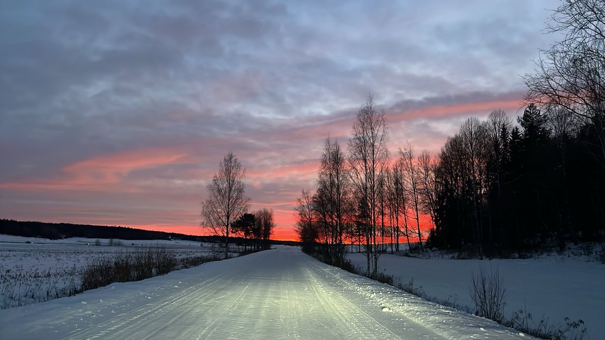 MoisioJuha's tweet photo. Like the sky would be on fire. Sky looking south in #Hajala #Halikko @Salonkaupunki. There is light in the tunnel and it is not the oncoming train. https://t.co/0XxuAmlRow
