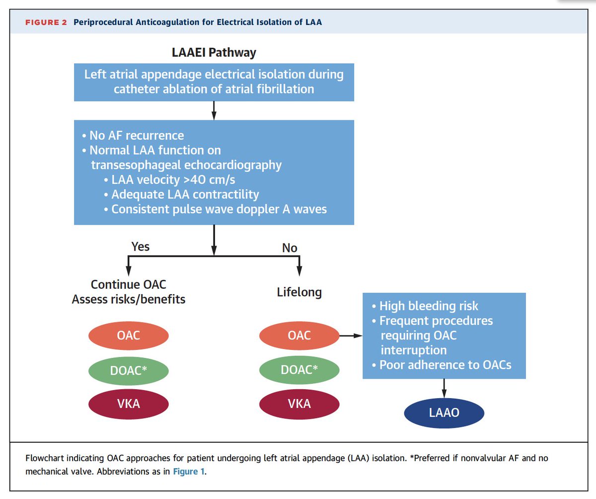 📚Must read review for ALL cardiologists! 🎯Very precise and practical 💊Antithrombotic Therapy for Patients Undergoing Cardiac Interventional Procedures 🖇️ tinyurl.com/2kn3w6kb 👏@LuigiDiBiaseMD @jmarazzatoMD @JorgeERomeroMD @DrRachitaEP @JACCJournals @ACCmediacenter