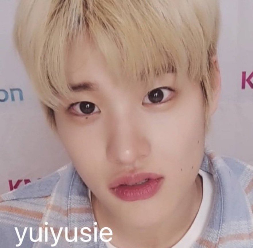 soheelovr's tweet image. — sohee as cute kittens ; a thread ฅ⁠^⁠•⁠ﻌ⁠•⁠^⁠ฅ

#SOHEE #소희 #라이즈