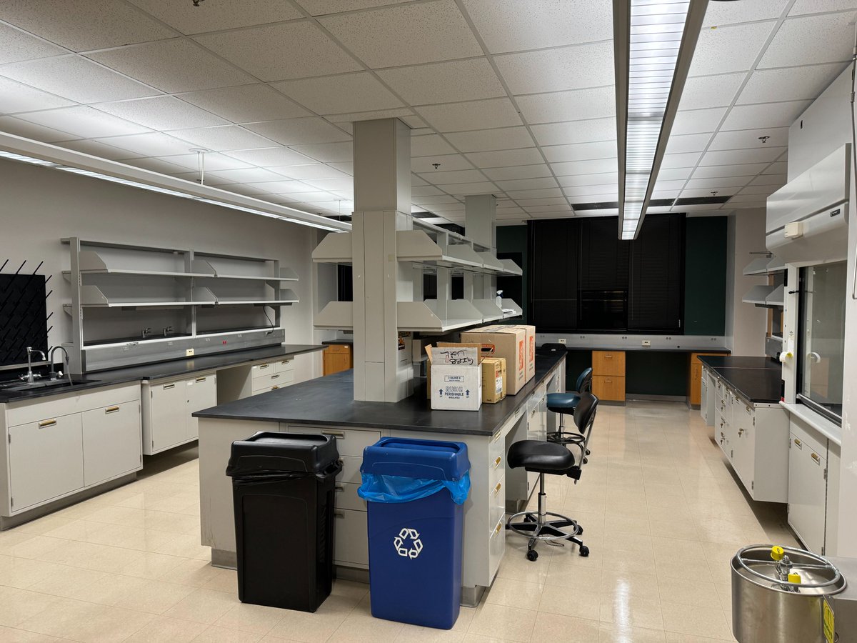 Andrew Gibb tweet media