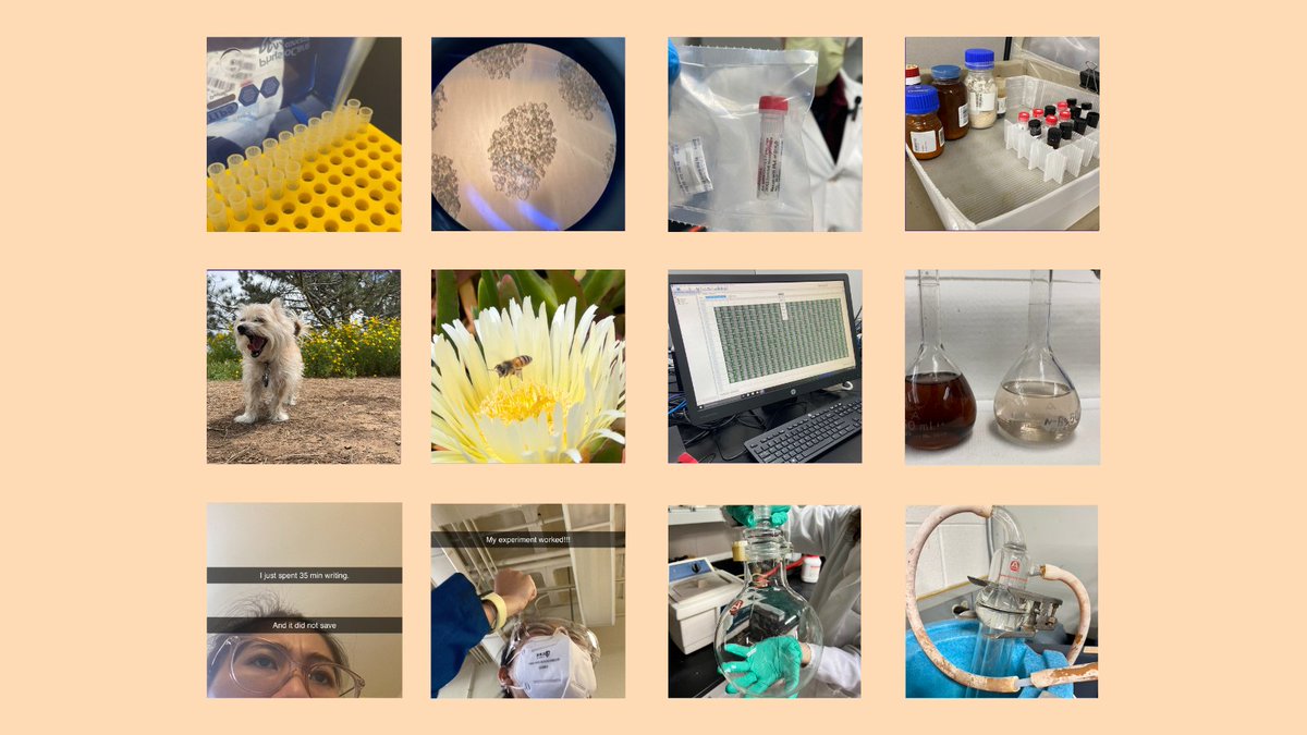 SigmaAldrich's tweet photo. Behind every Scientist is a camera roll that looks like this: https://t.co/pieZb7iYB2