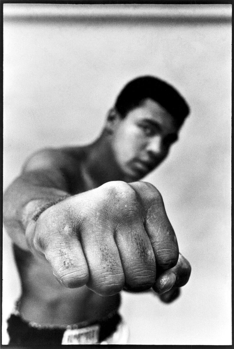MagnumPhotos's tweet photo. Muhammad Ali by Thomas Hoepker 🥊

In 1966, Hoepker photographed Ali while on assignment for Stern Magazine, serving to capture both the man and the myth of a legendary athlete.

Explore the contact sheet: https://t.co/CWIXZhW4Ew

© Thomas Hoepker / Magnum Photos https://t.co/WKLL3BLKOh
