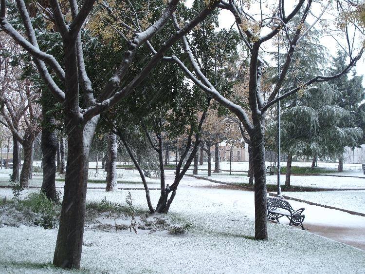 ❄️❄️ Tal día como hoy, 10 de enero, tuvo lugar hace 14 años la última nevada en #Mérida