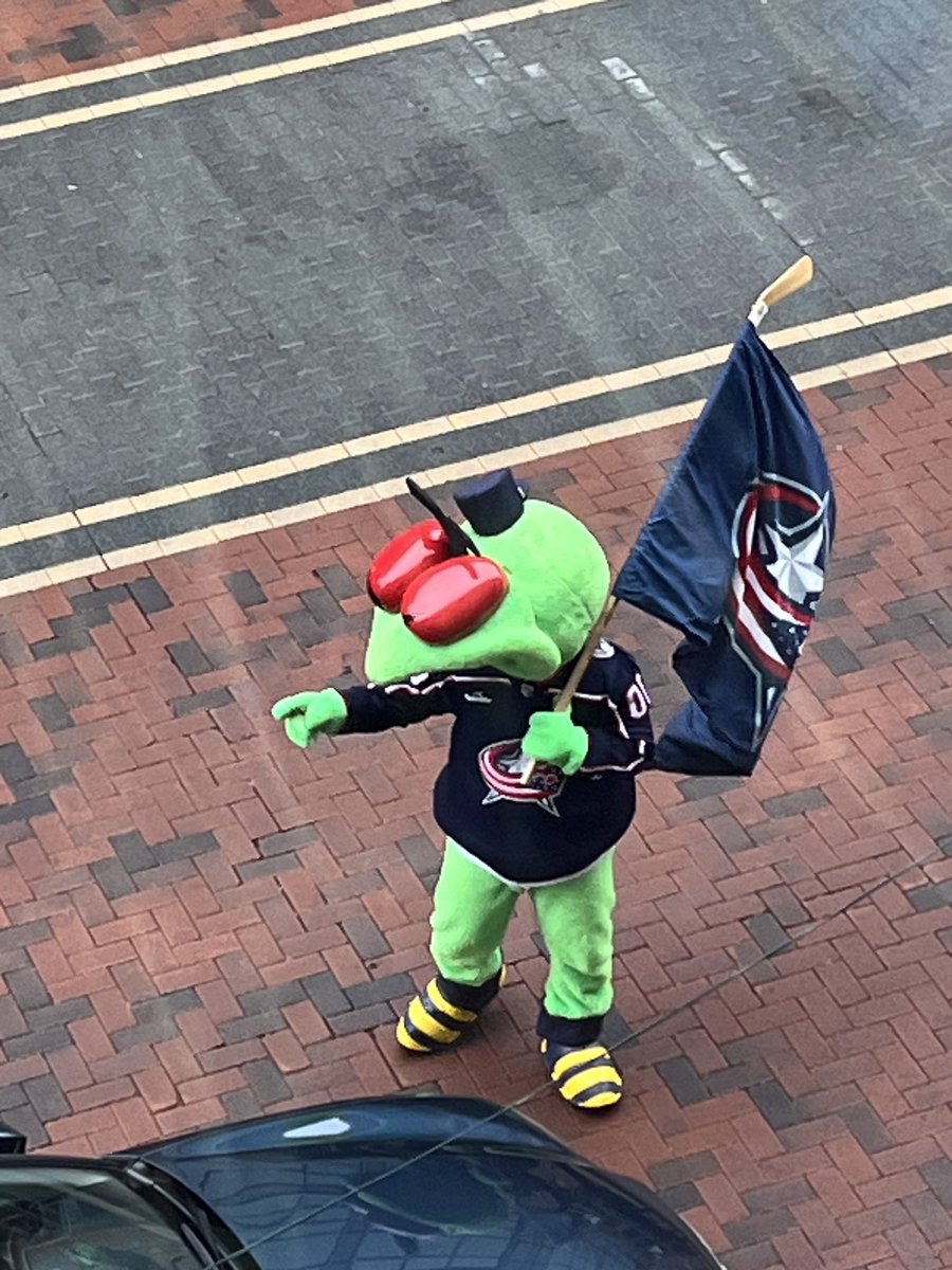 Jseck93's tweet photo. @StingerCBJ What are you doing down there…? https://t.co/I4hZJxyJ4F