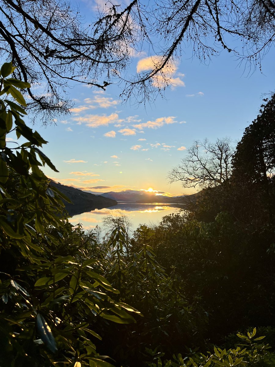 letterellan's tweet photo. Today’s sunset was simply stunning! At Letterellan, guests are free to explore the gardens, take tea in the summer house or take a walk to our beach on the loch shore. Book your 2024 getaway now! https://t.co/aQ6g0qIZkf https://t.co/L39YMJNZSB
