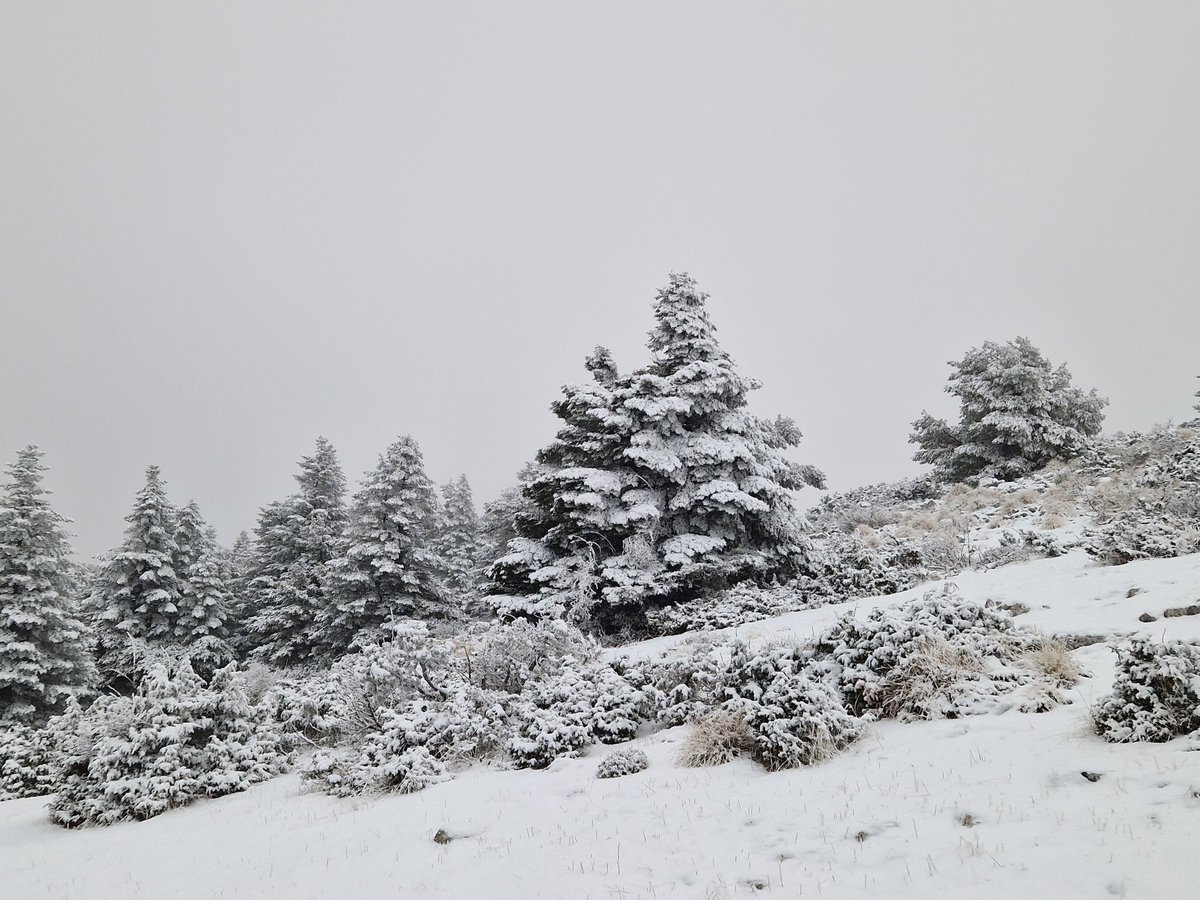 Meteovaroise's tweet photo. 10/01 17h ❄️ Vous êtes toujours dans le Var. Mais sur le toit du département, la montagne de Lachens à un peu plus de 1700m d'altitude. Là-haut, -3°C, fort vent d'Est, givrage important et 15cm de neige au sol.
Photos Météo-Varoise. https://t.co/PCpPc1lm0u
