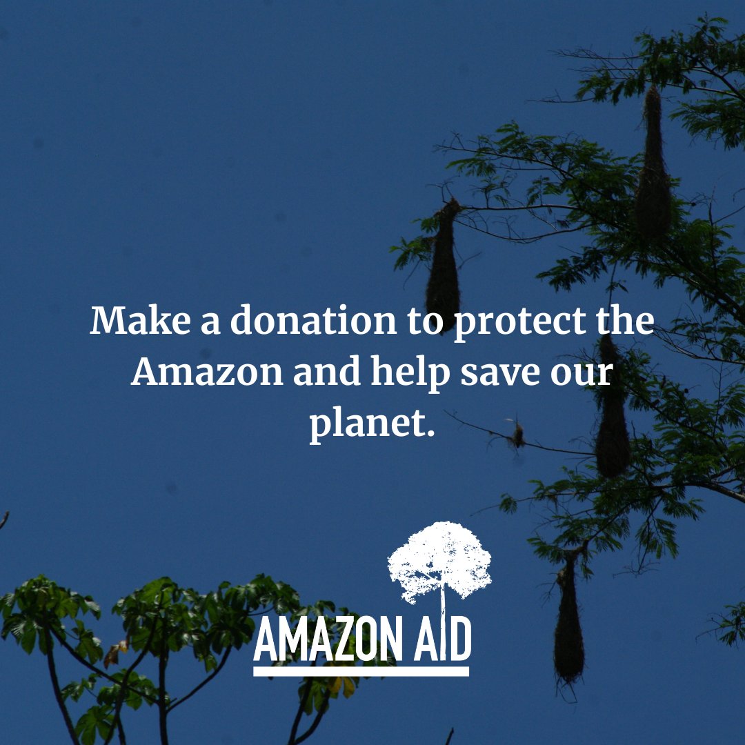 Donate now to support our urgent work: Amazon Aid is dedicated to Amazon free of destructive mining practices where people have access to safe, dignified livelihoods and ecosystems thrive.

Donate at the link: amazonaid.org/donate/