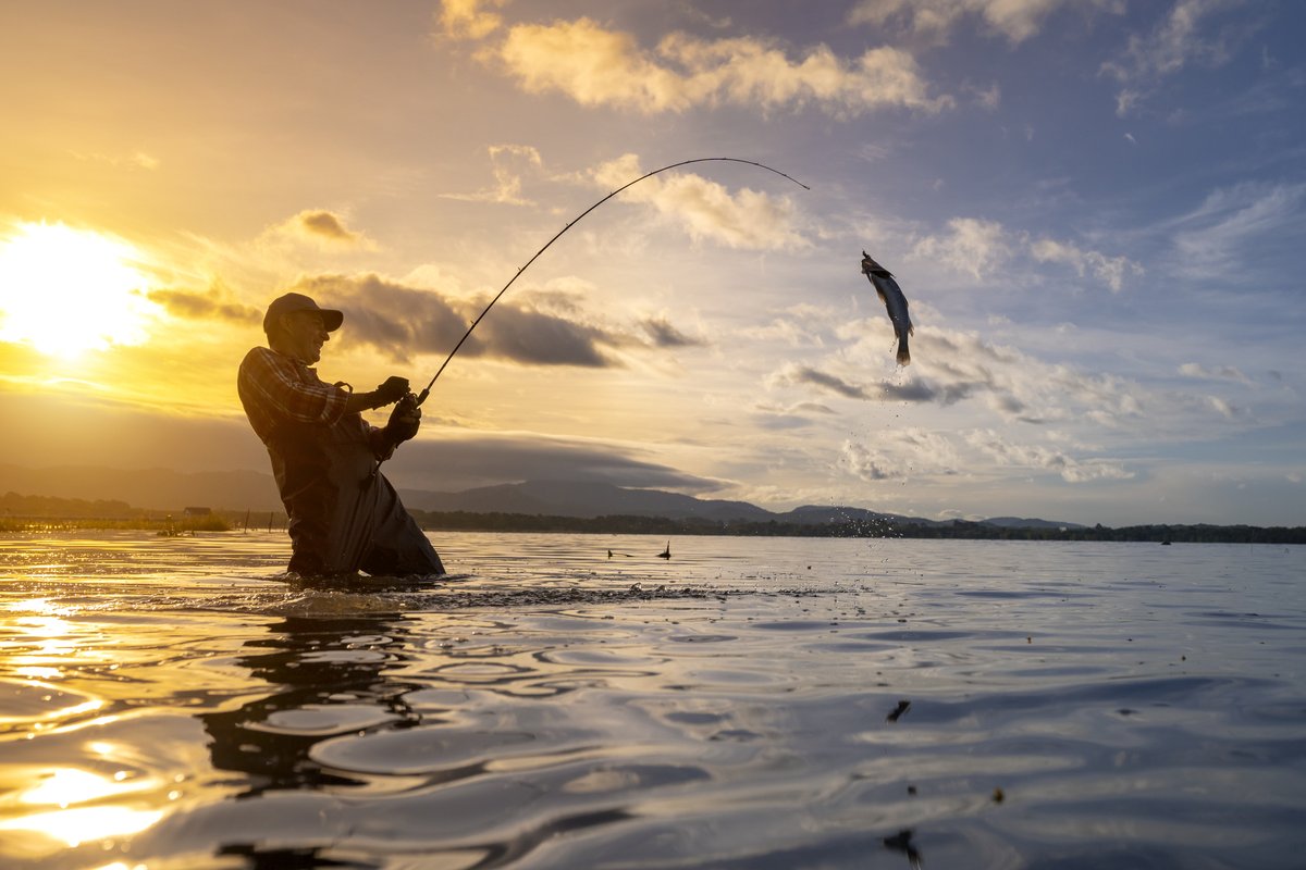 BlueShieldCA's tweet photo. Learn something new during #HobbyMonth! Start off 2024 discovering a new #hobby, like #cooking, #music, #arts, #crafts, #sports or #photography. Get more tips to help relieve #stress at https://t.co/uADn8E8nFS #Wellvolution #HobbyLove https://t.co/O83xaAyfRQ