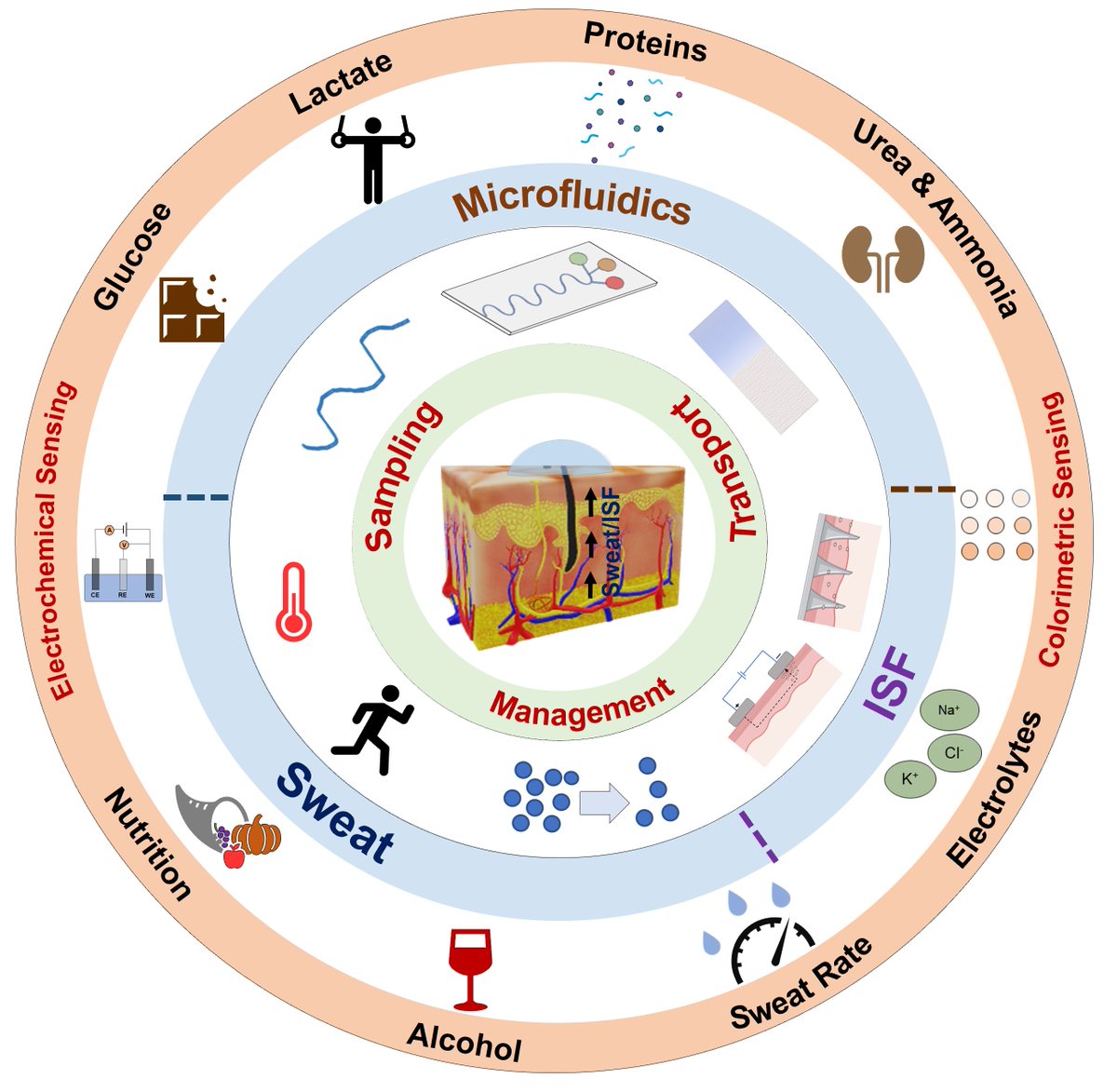 Congrats to Tamoghna, Sneha, and Prof. Orlin Velev!

Our review article on sweat harvesting published today in Lab on a Chip <a href="/LabonaChip/">Lab on a Chip</a> 

pubs.rsc.org/en/content/art…

The idea:  Use biomarkers in sweat to better monitor your health. Here, we review how.