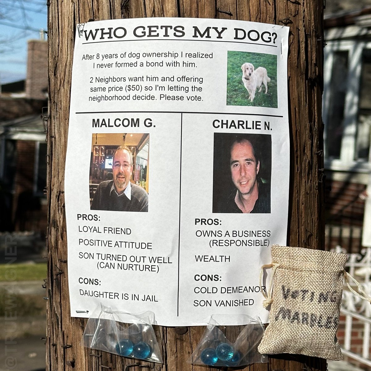 The neighborhood decides the fate of the dog.